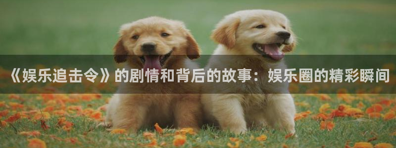 乐游捕鱼：《娱乐追击令》的剧情和背后的故事：娱乐圈的精彩瞬间