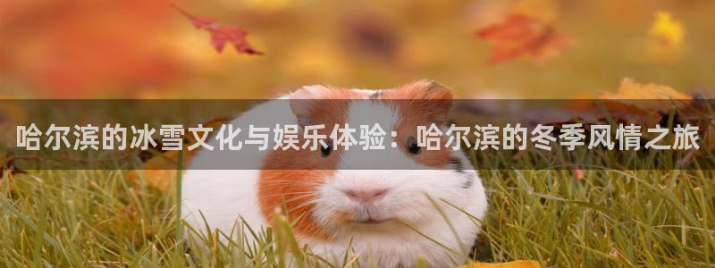 乐游游戏：哈尔滨的冰雪文化与娱乐体验：哈尔滨的冬季风情之旅