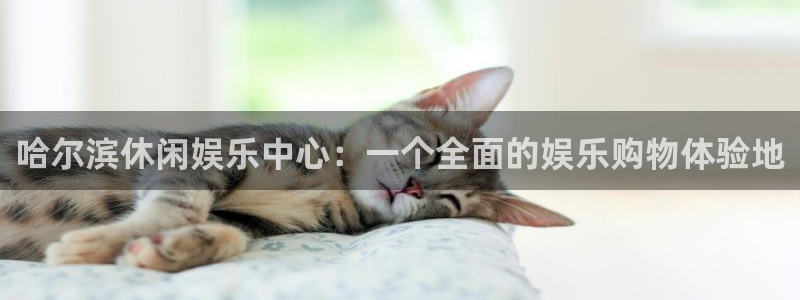 乐游棋牌登录：哈尔滨休闲娱乐中心：一个全面的娱乐购物体验地