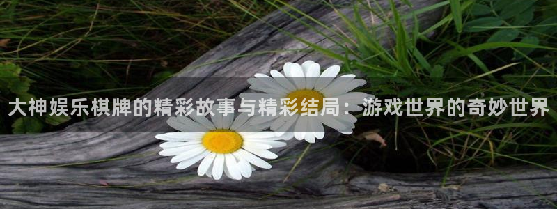 乐游棋牌链接：大神娱乐棋牌的精彩故事与精彩结局：游戏世界的奇妙世界