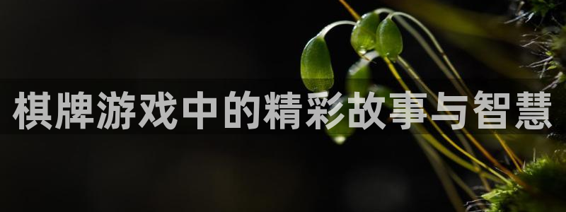 乐游棋牌注册：棋牌游戏中的精彩故事与智慧