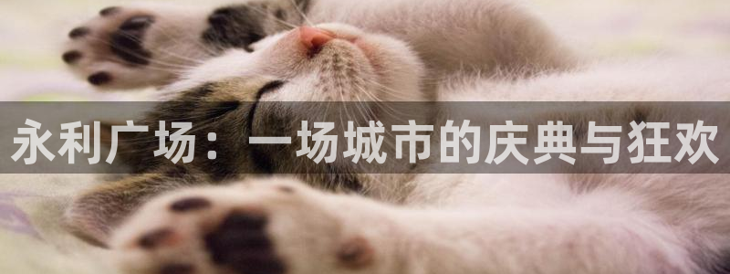 乐游棋牌地址：永利广场：一场城市的庆典与狂欢